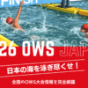2026年版｜全国OWS（オープンウォータースイミング）大会一覧・日程 | OWS 三河魂